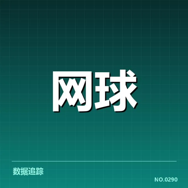 红土赛季技术特点背后,赛事策略调整与选手应变之谜